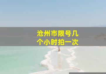 沧州市限号几个小时拍一次