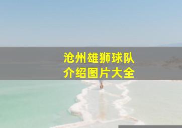 沧州雄狮球队介绍图片大全