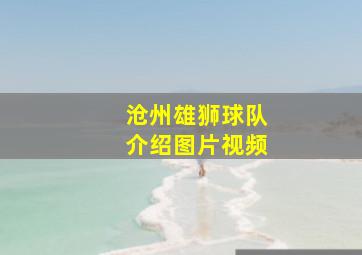 沧州雄狮球队介绍图片视频