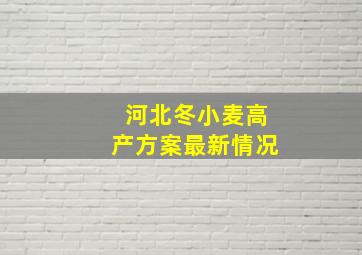 河北冬小麦高产方案最新情况