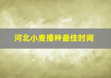 河北小麦播种最佳时间