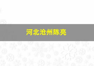 河北沧州陈亮