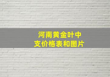 河南黄金叶中支价格表和图片