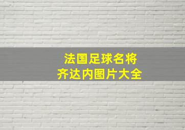 法国足球名将齐达内图片大全