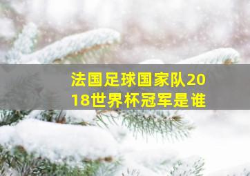 法国足球国家队2018世界杯冠军是谁