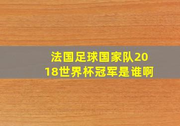 法国足球国家队2018世界杯冠军是谁啊