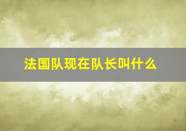 法国队现在队长叫什么