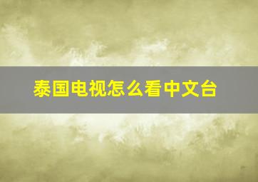 泰国电视怎么看中文台