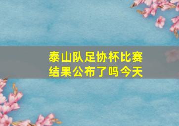 泰山队足协杯比赛结果公布了吗今天