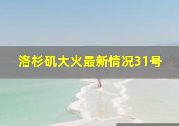 洛杉矶大火最新情况31号