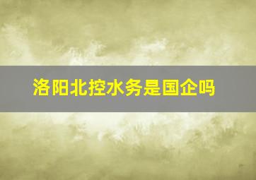 洛阳北控水务是国企吗