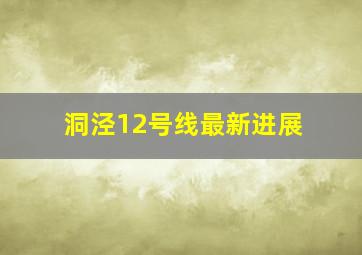 洞泾12号线最新进展