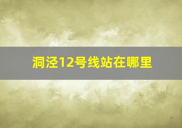 洞泾12号线站在哪里