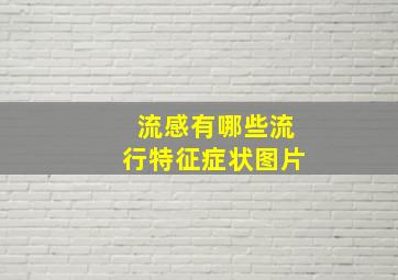 流感有哪些流行特征症状图片