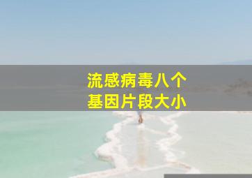 流感病毒八个基因片段大小