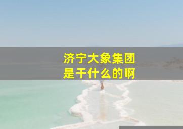 济宁大象集团是干什么的啊