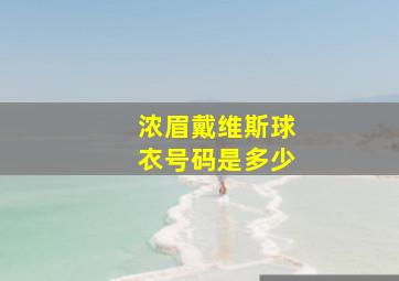 浓眉戴维斯球衣号码是多少