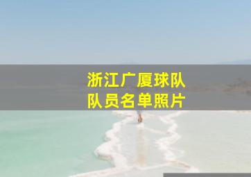 浙江广厦球队队员名单照片