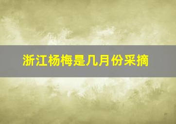 浙江杨梅是几月份采摘