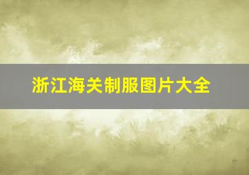 浙江海关制服图片大全