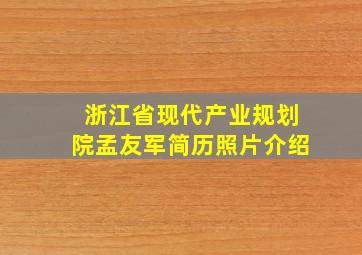 浙江省现代产业规划院孟友军简历照片介绍