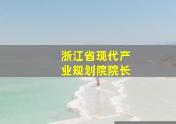 浙江省现代产业规划院院长