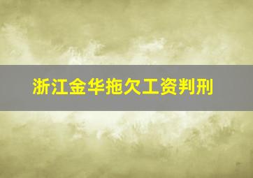 浙江金华拖欠工资判刑