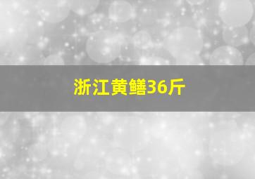 浙江黄鳝36斤