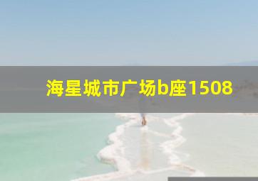 海星城市广场b座1508