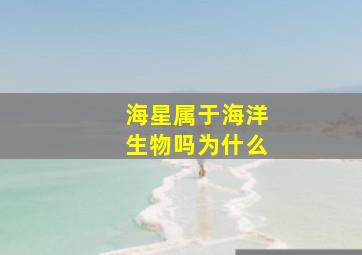 海星属于海洋生物吗为什么