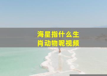 海星指什么生肖动物呢视频