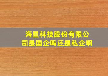 海星科技股份有限公司是国企吗还是私企啊