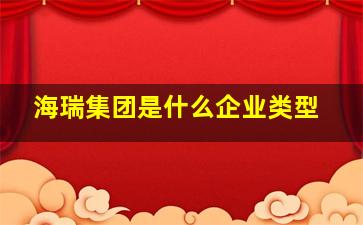 海瑞集团是什么企业类型