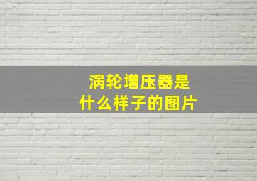 涡轮增压器是什么样子的图片