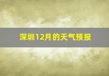 深圳12月的天气预报