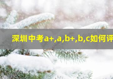 深圳中考a+,a,b+,b,c如何评