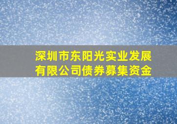 深圳市东阳光实业发展有限公司债券募集资金