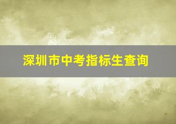 深圳市中考指标生查询