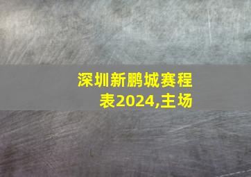 深圳新鹏城赛程表2024,主场