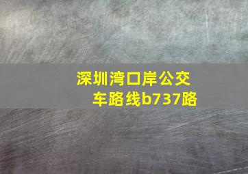 深圳湾口岸公交车路线b737路