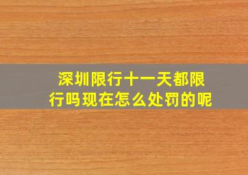 深圳限行十一天都限行吗现在怎么处罚的呢