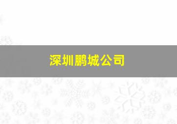 深圳鹏城公司