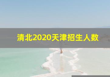 清北2020天津招生人数