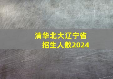 清华北大辽宁省招生人数2024