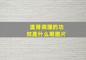 温肾调理的功效是什么呢图片