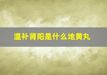 温补肾阳是什么地黄丸