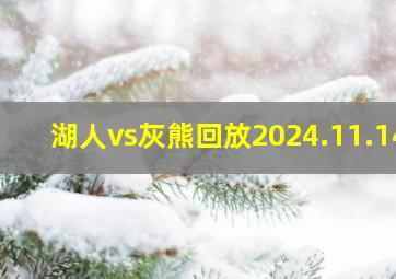 湖人vs灰熊回放2024.11.14