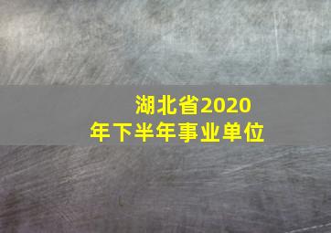 湖北省2020年下半年事业单位