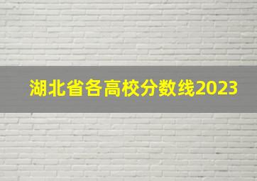 湖北省各高校分数线2023