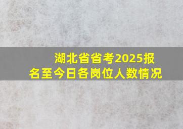 湖北省省考2025报名至今日各岗位人数情况